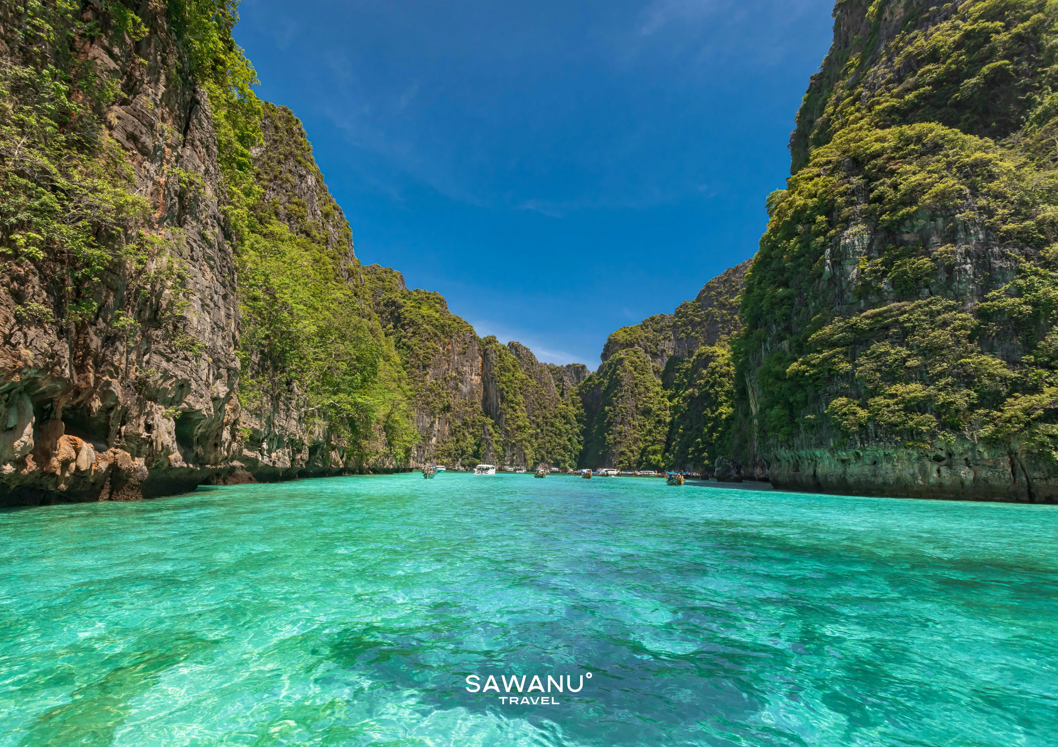 Phuket Thailand Premium Catamaran ISLAND Tour - PHIPHI & KHAI, Phiphi&Bamboo