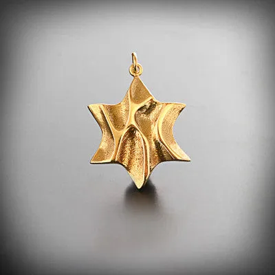 Star of david with orgainc flow gold/silver pendant